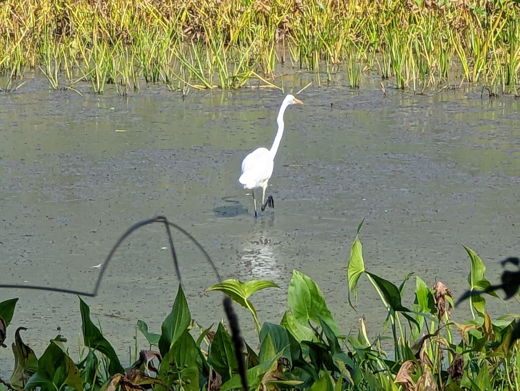 Salmon Creek Greenway Trail | Vancouver, WA 98685, USA | Phone: (360) 397-2000