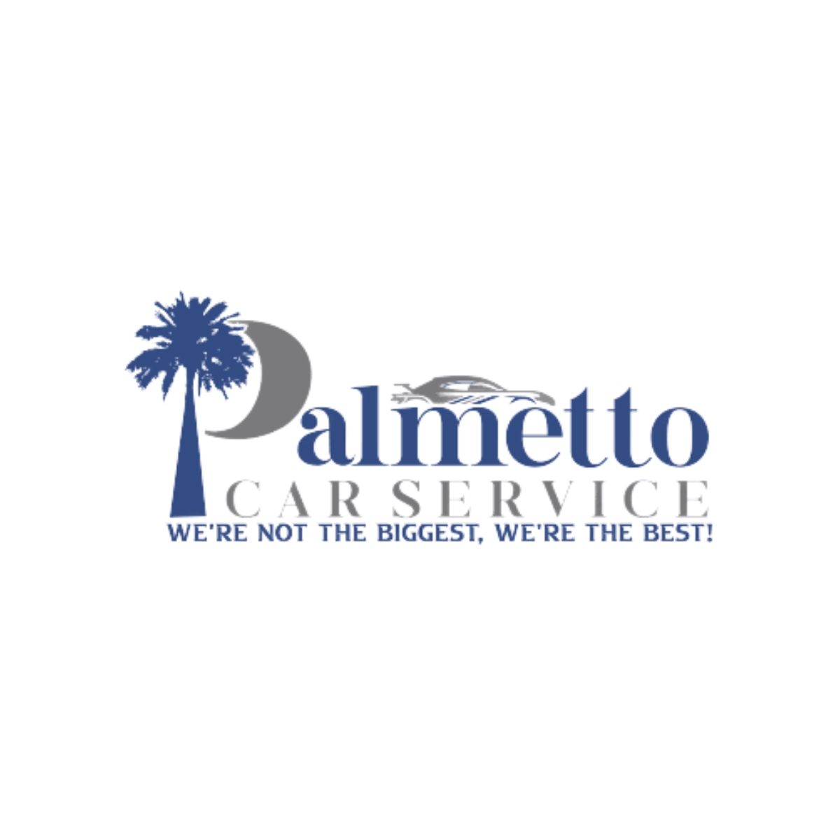 Palmetto Car Service | 301 Hulston Landing Rd, Bluffton, SC 29909, United States | Phone: (843) 981-1111