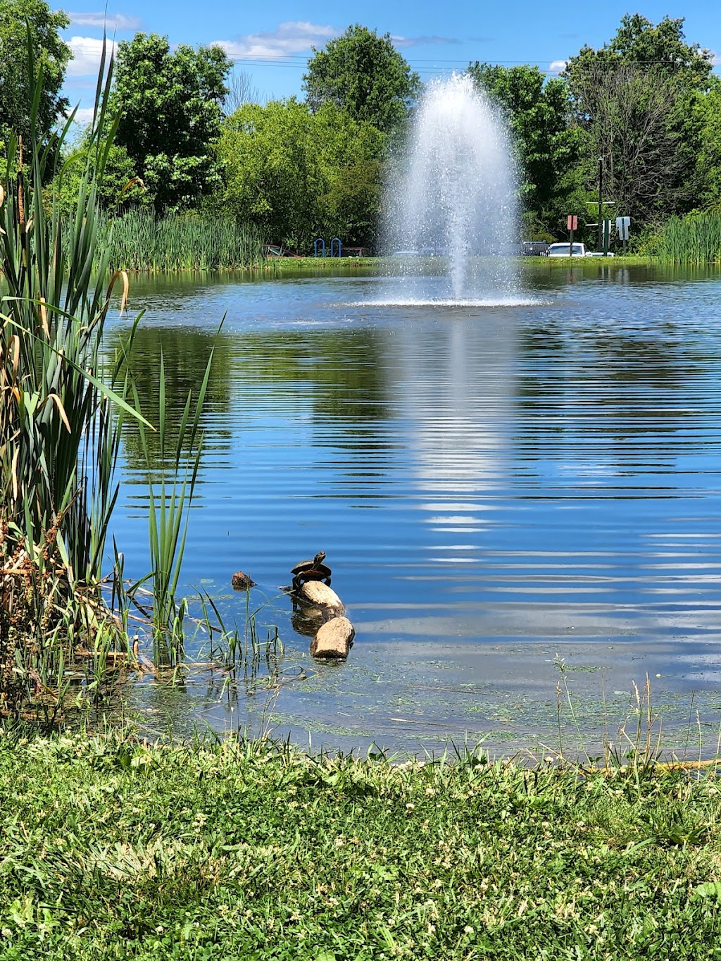 Stony Creek Park | 200 E Hancock St, Lansdale, PA 19446 | Phone: (215) 368-1691