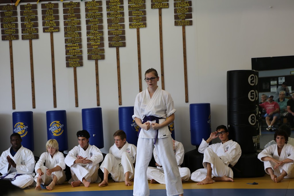 Twinsburg Karate Institute (TKI) | 2272 Pinnacle Pkwy, Twinsburg, OH 44087, USA | Phone: (330) 963-3069