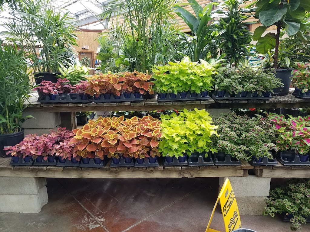 Breezewood Gardens & Gifts | 17600 Chillicothe Rd, Chagrin Falls, OH 44023, USA | Phone: (440) 543-2124