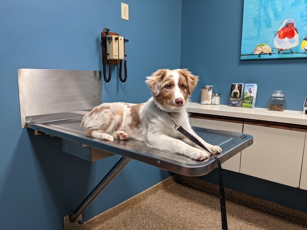 Hunting Ridge Animal Hospital | 6630 Ridge Rd, Sharon Center, OH 44274, USA | Phone: (330) 239-2777