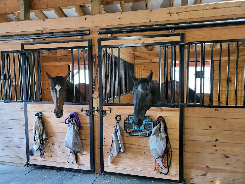 Victory Hill Therapeutic Horsemanship | 1138 Mountain Rd, Port Jervis, NY 12771, USA | Phone: (845) 843-0020