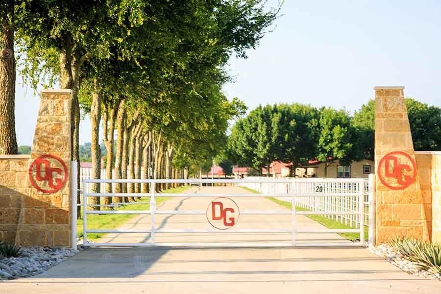 DG Ranch Equestrian Center | 17970 FM 121, Gunter, TX 75058, USA | Phone: (903) 651-9693