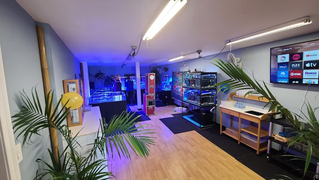 High Tide Aquatics | 2819 MacArthur Blvd, Oakland, CA 94602, USA | Phone: (341) 420-0200