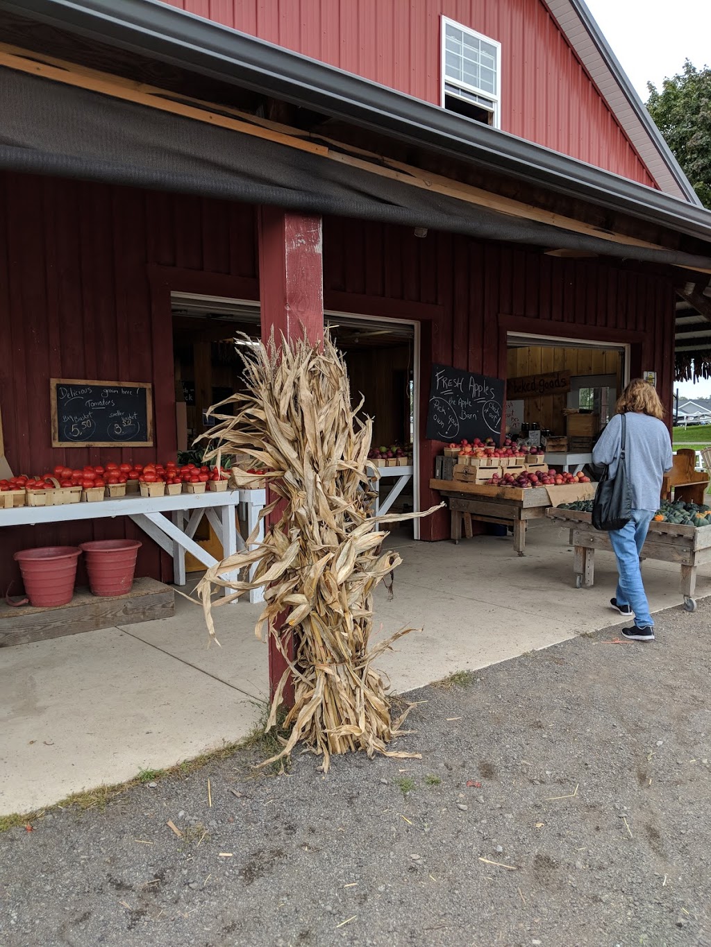 Gregs U-Pick Farm Market and CSA | 9270 Lapp Rd, Clarence Center, NY 14032, USA | Phone: (716) 741-4239