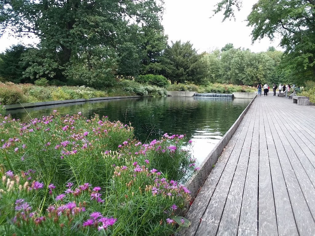 Native Plant Garden, NYBG | The Bronx, NY 10458, USA | Phone: (718) 817-8700