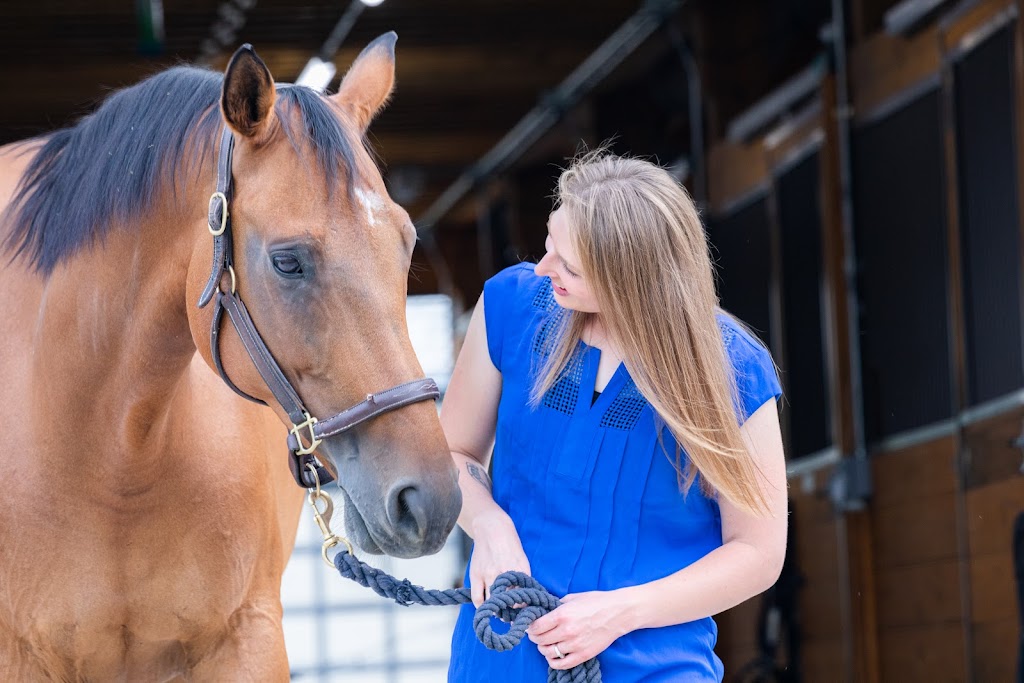 Iverson Equine Practice | 24630 N Old McHenry Rd, Hawthorn Woods, IL 60047, USA | Phone: (224) 286-4227