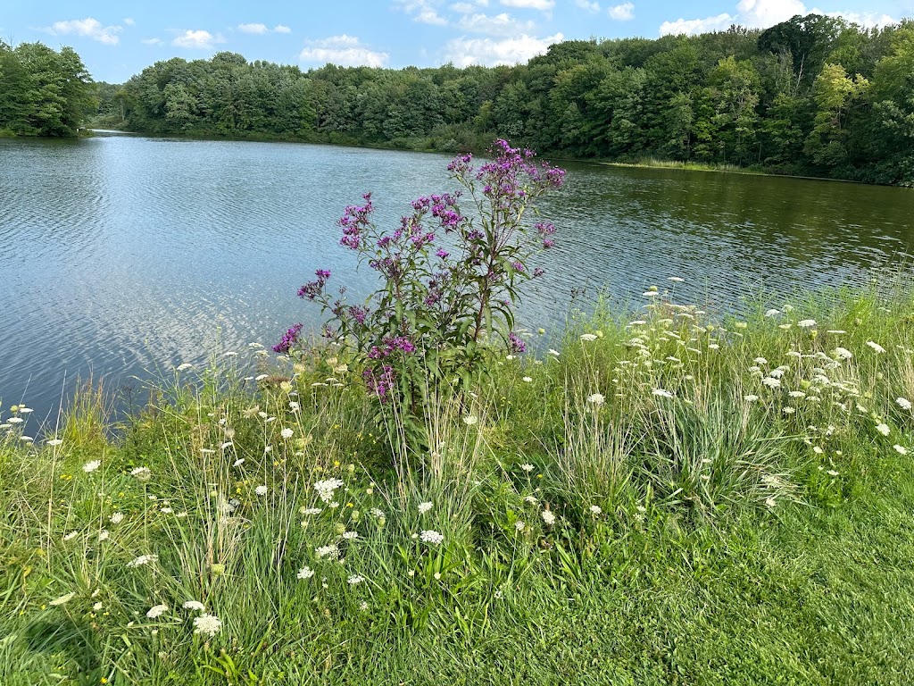 Beartown Lakes Reservation | 18870 Quinn Rd, Chagrin Falls, OH 44023, USA | Phone: (440) 286-9516