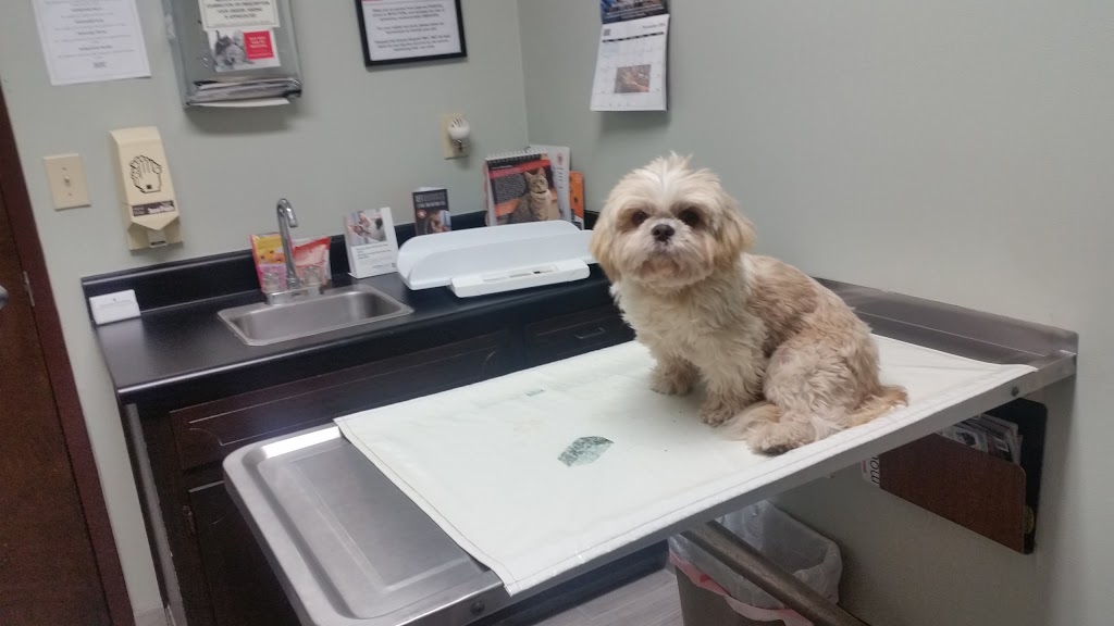 Pleasant Hill Animal Hospital | 2982 Pleasant Hill Rd, Duluth, GA 30096, USA | Phone: (770) 476-9339