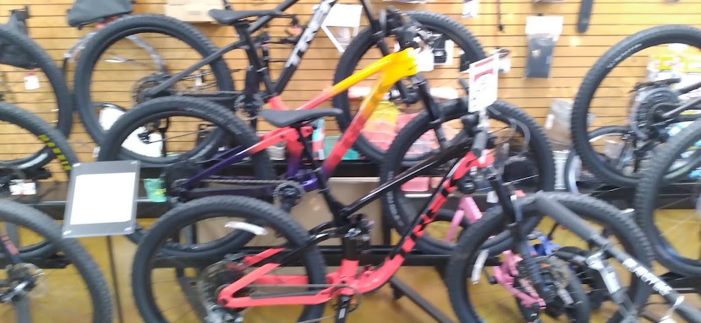 Landis Cyclery | 2180 E Southern Ave, Tempe, AZ 85282, USA | Phone: (480) 839-9383