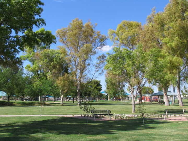 Ora Mae Harn District Park | 13250 N Lon Adams Rd, Marana, AZ 85653, USA | Phone: (520) 382-1950