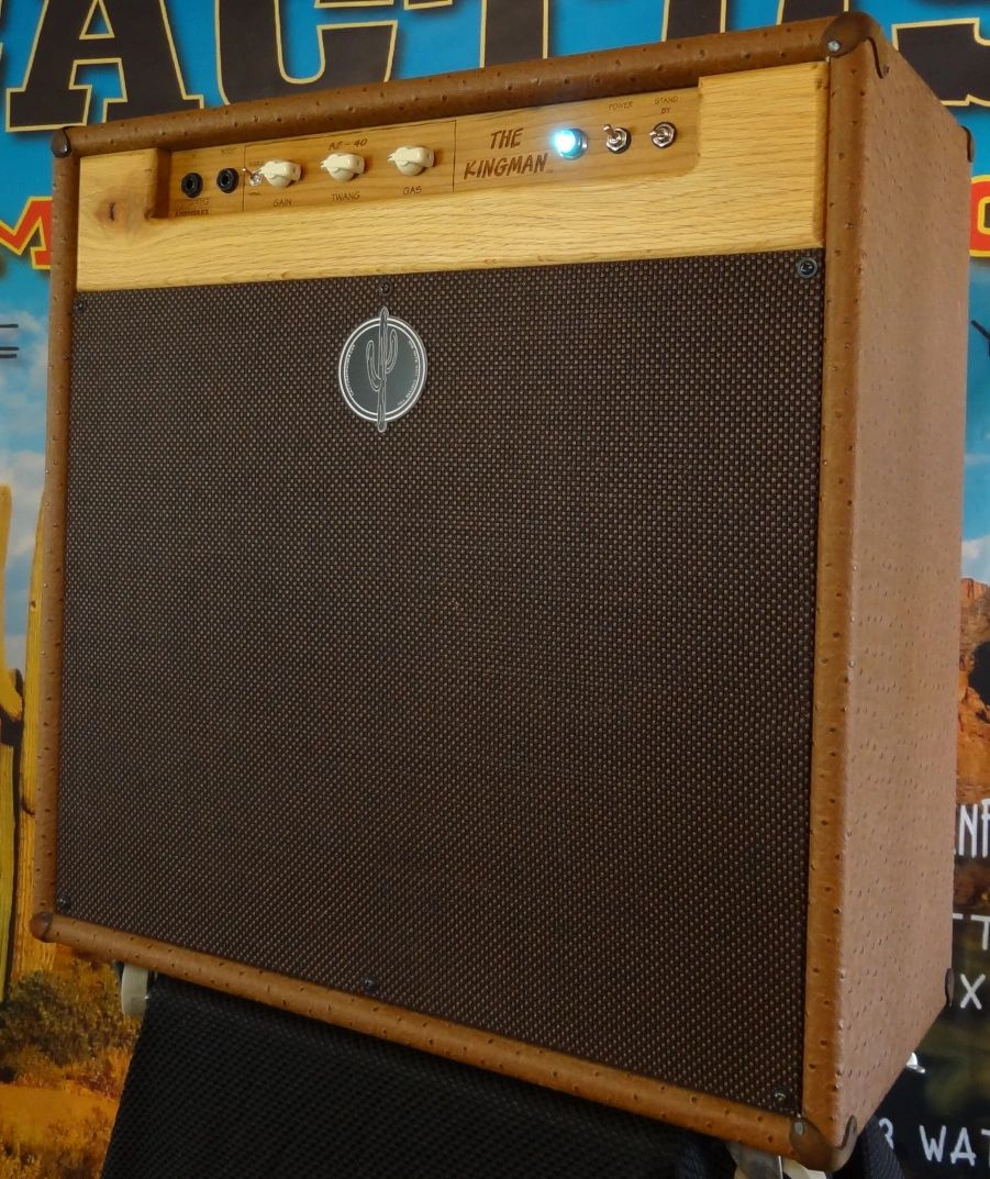 CACTUS AMPS | E Manhatton Dr, Tempe, AZ 85281, USA | Phone: (623) 252-2086