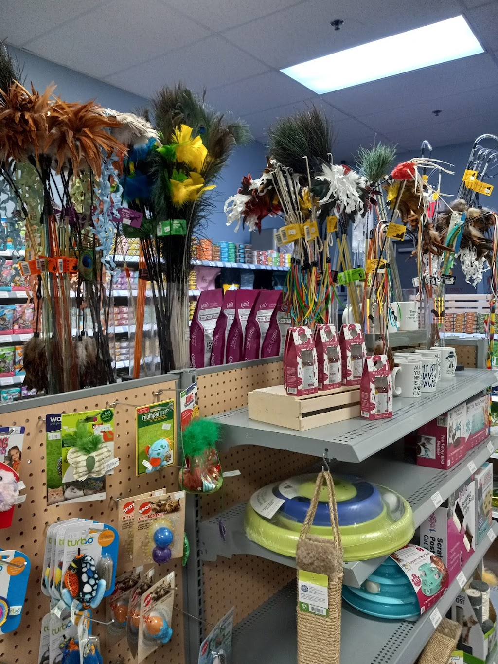 Licker & Whine Pet Market | 3419 Memorial Blvd B1, Murfreesboro, TN 37129, USA | Phone: (615) 203-5400