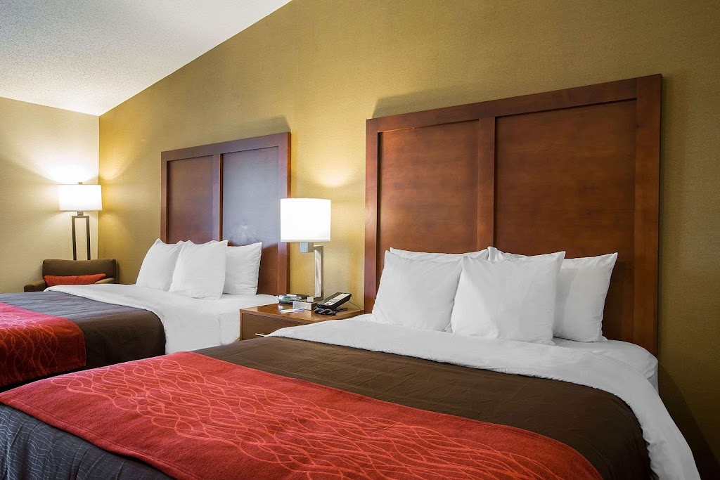 Comfort Inn Glenmont - Albany South | 37 Rte 9W, Glenmont, NY 12077, USA | Phone: (518) 362-1076