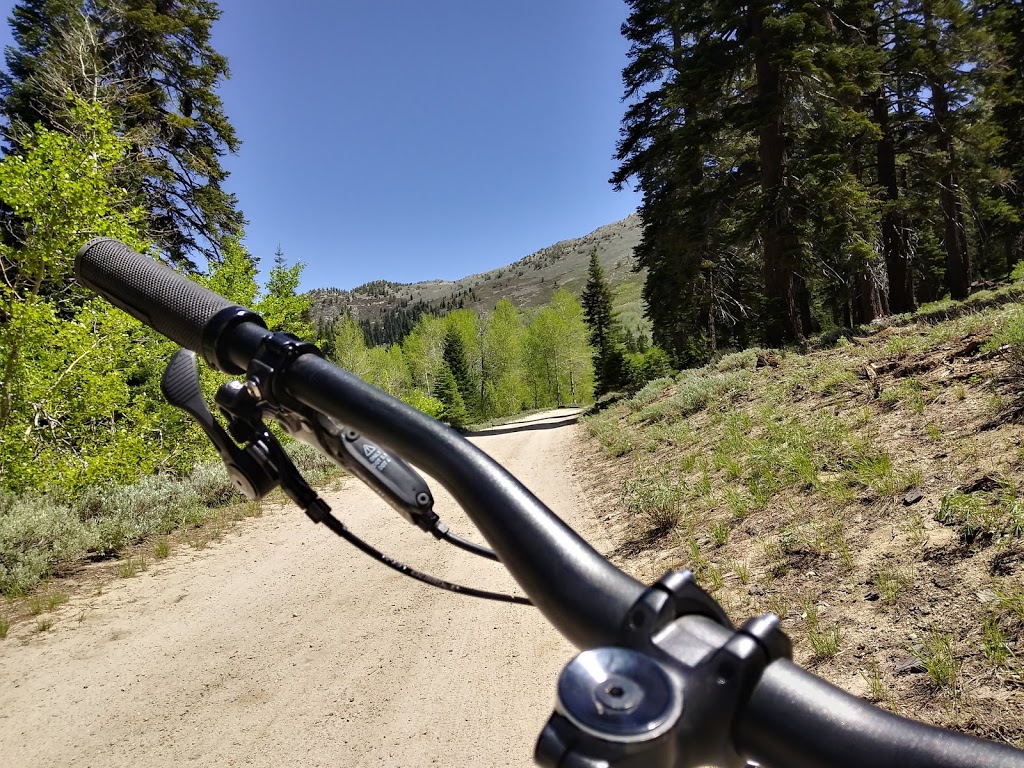 Flume Trail Bikes | 1115 Tunnel Creek Rd B, Incline Village, NV 89451, USA | Phone: (775) 298-2501