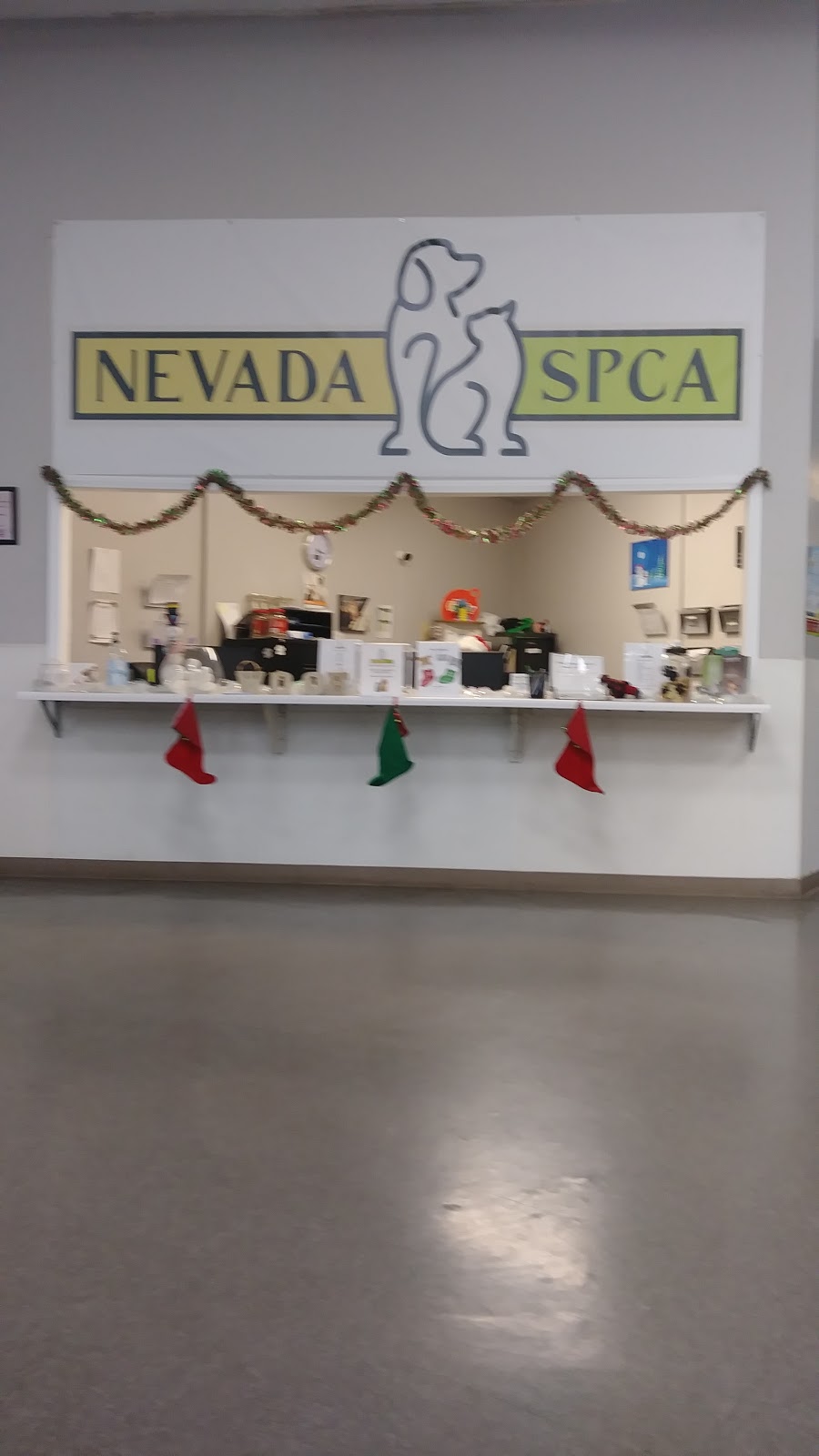 The Animal Foundation Pet Store | 286 W Lake Mead Pkwy, Henderson, NV 89015 | Phone: (702) 384-3333