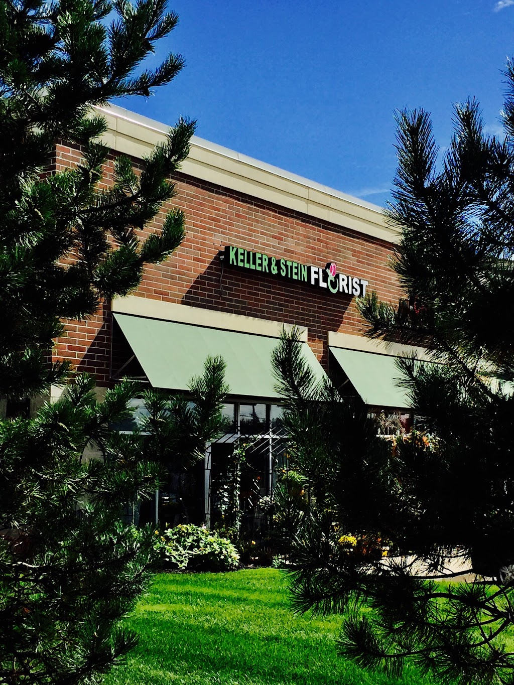 Keller & Stein Florist | 320 N Canton Center Rd, Canton, MI 48187, USA | Phone: (734) 397-0800