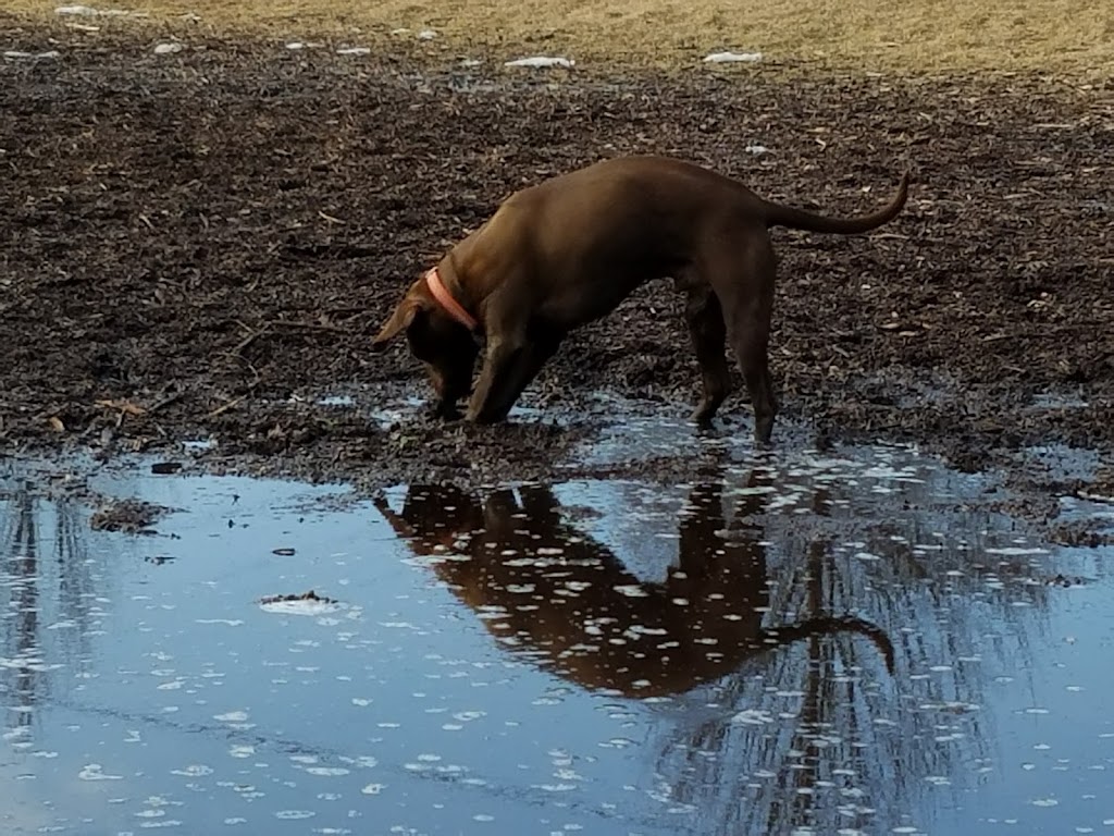 Bassett Creek Dog Park | 5621 32nd Ave N, Crystal, MN 55422, USA | Phone: (763) 533-4675