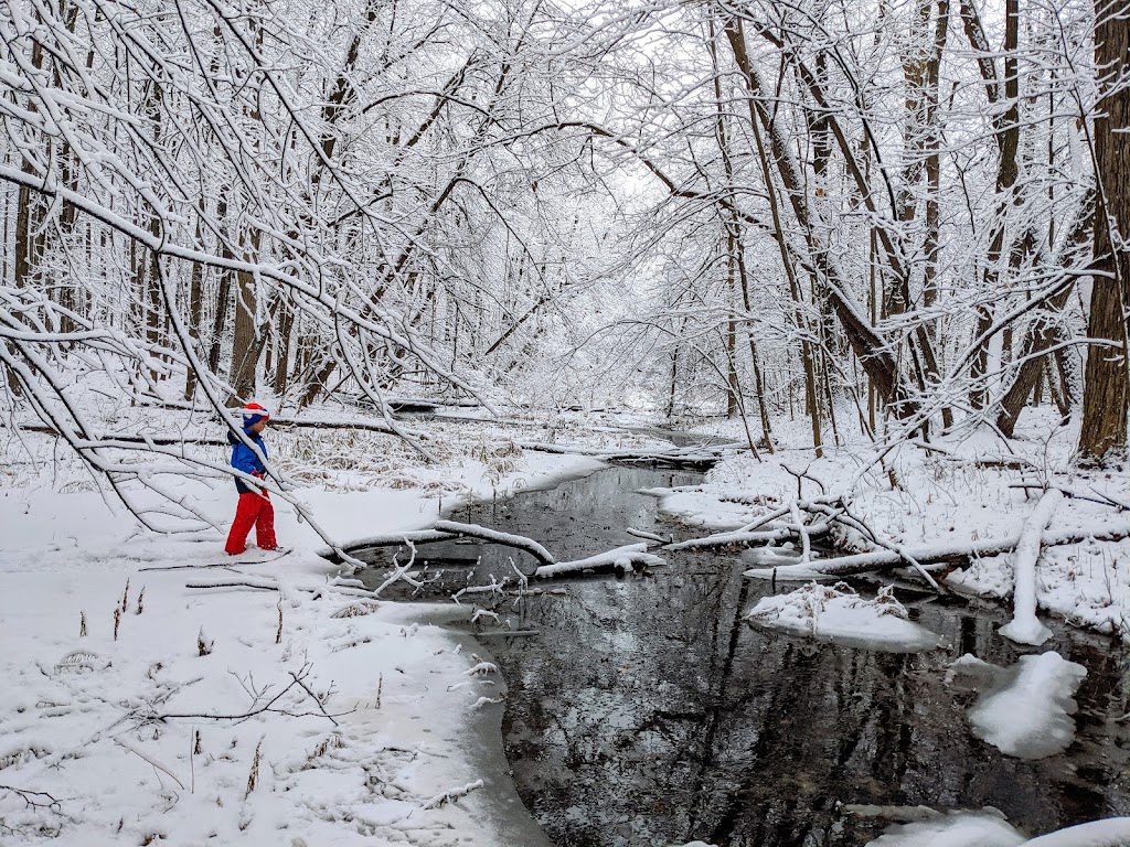 Buttonbush Nature Area | 3314 Sunton Rd, Ann Arbor, MI 48105, USA | Phone: (734) 794-6230