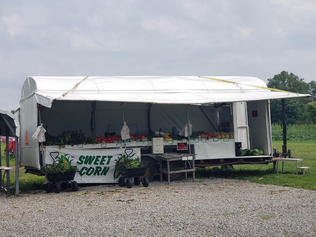 Bergefurds Farm Market | 234 OH-350, Wilmington, OH 45177, USA | Phone: (937) 302-7908