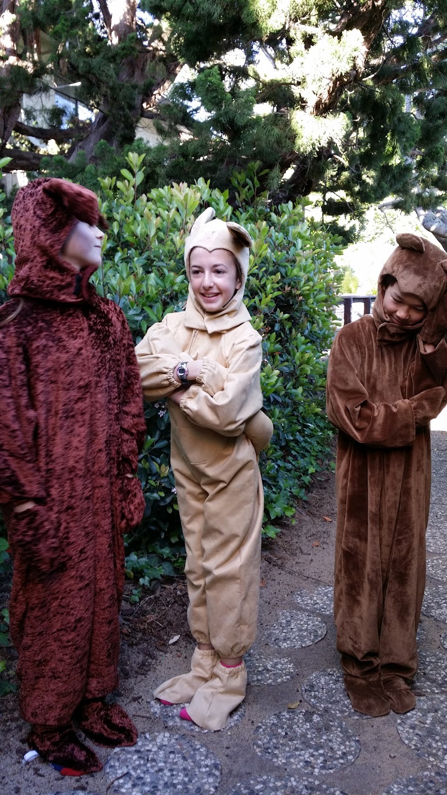 Santa Cruz Childrens School | 366 Gault St, Santa Cruz, CA 95062, USA | Phone: (831) 429-8444