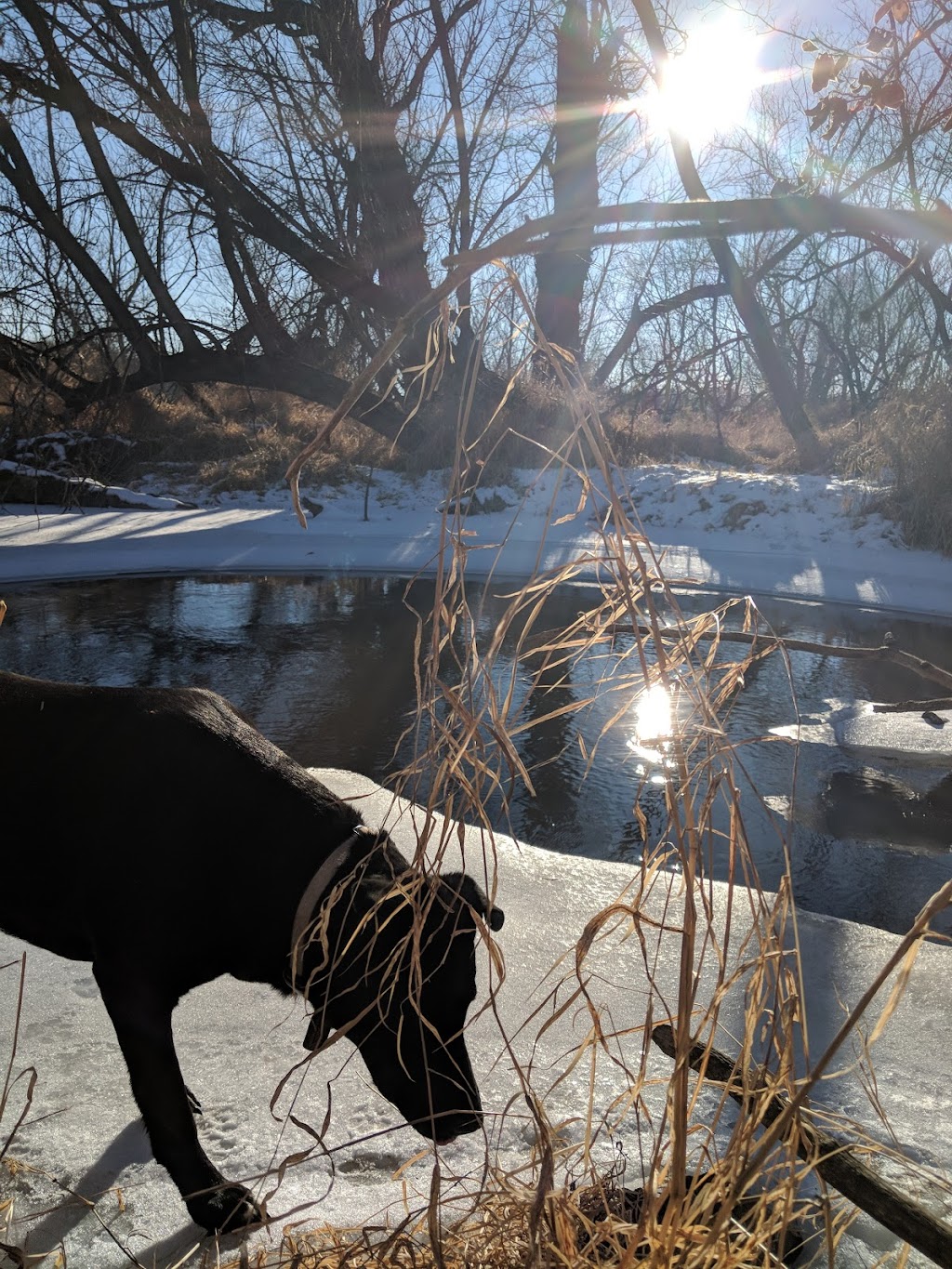 Cherokee Marsh State Fishery Area | Madison, WI 53704, USA | Phone: (608) 275-3225