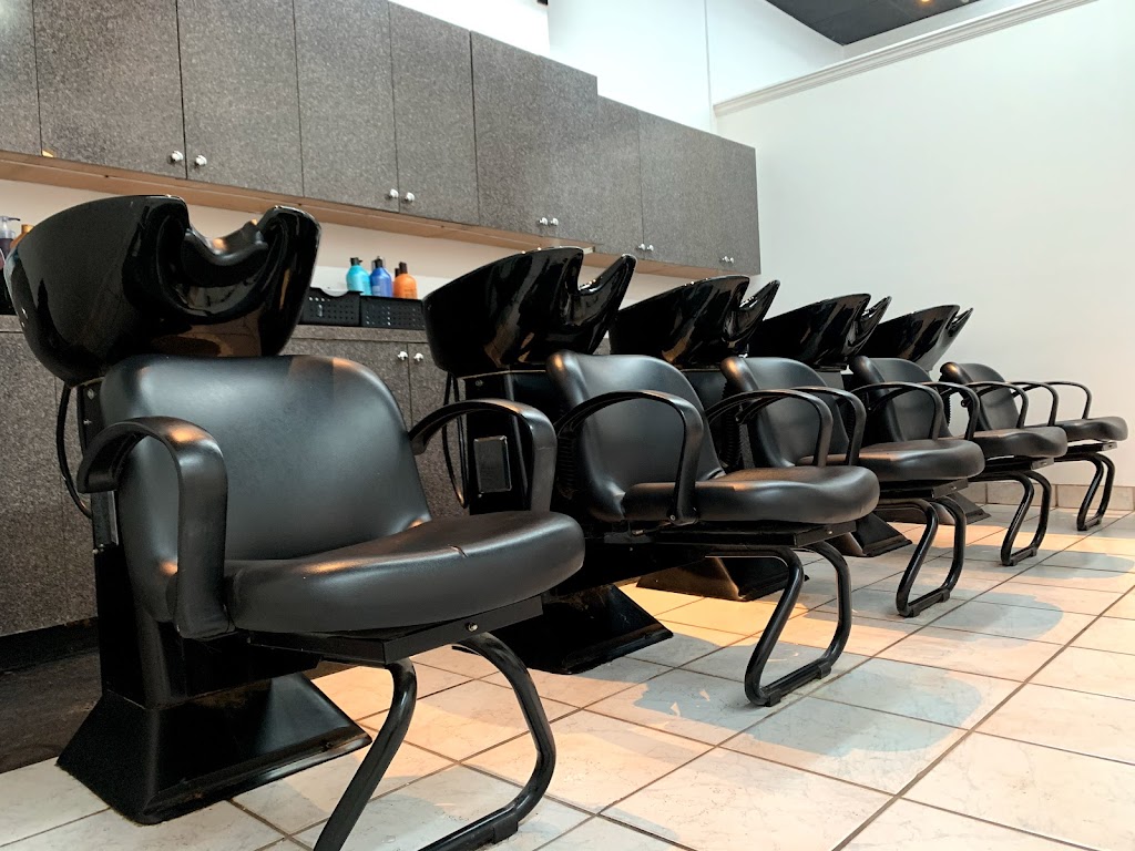 THE SALON at Buena Vista | 1214B Reynolda Rd, Winston-Salem, NC 27104, USA | Phone: (336) 893-8081