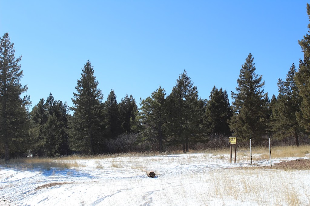 Mount Herman Trailhead | Mt Herman Rd, Colorado Springs, CO 80921, USA | Phone: (719) 636-1602