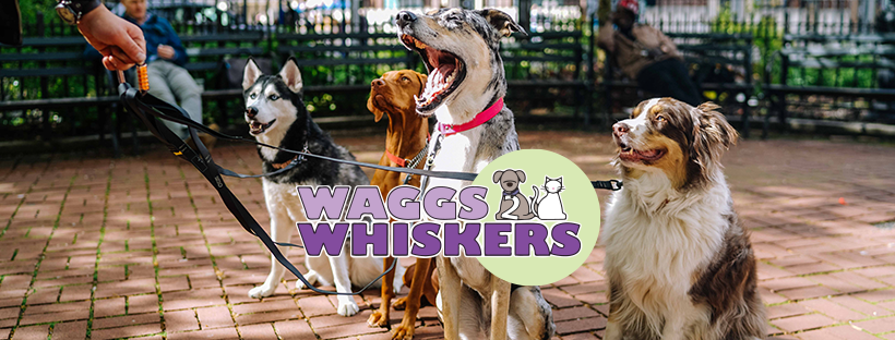 Waggs 2 Whiskers, LLC | 5895 Vigo Rd, Bagdad, KY 40003, USA | Phone: (502) 836-9742