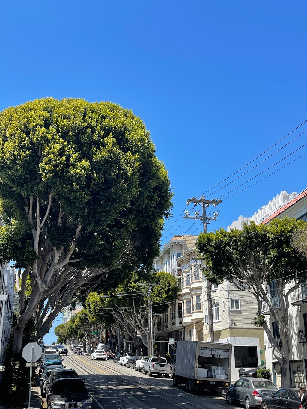 Elegant Cleaners | 1871 Hyde St, San Francisco, CA 94109, USA | Phone: (415) 474-4443