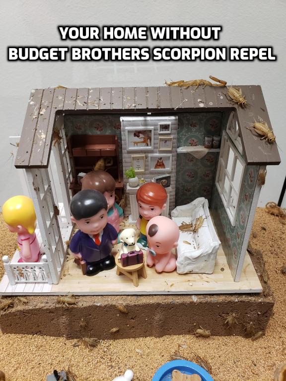 Budget Brothers Scorpion Repel | 23910 N 19th Ave Suite 36, Phoenix, AZ 85085, USA | Phone: (480) 513-0313