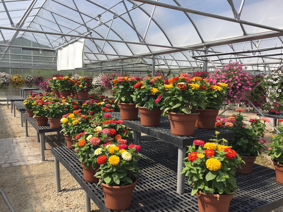 Wasaukee Plant Market | 9820 Wasaukee Rd, Mequon, WI 53097, USA | Phone: (262) 242-6215