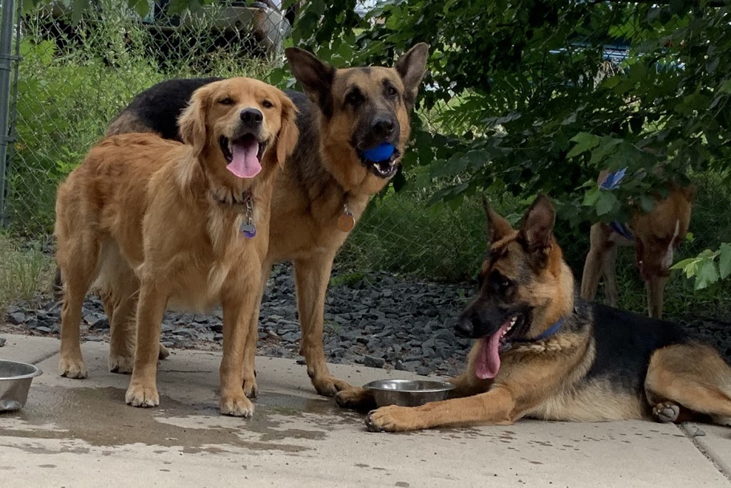 Walgreens | 1845 S 3rd St, Memphis, TN 38109, USA | Phone: (901) 947-4203 Walgreens | 1845 S 3rd St, Memphis, TN 38109, USA | Phone: (901) 947-4203