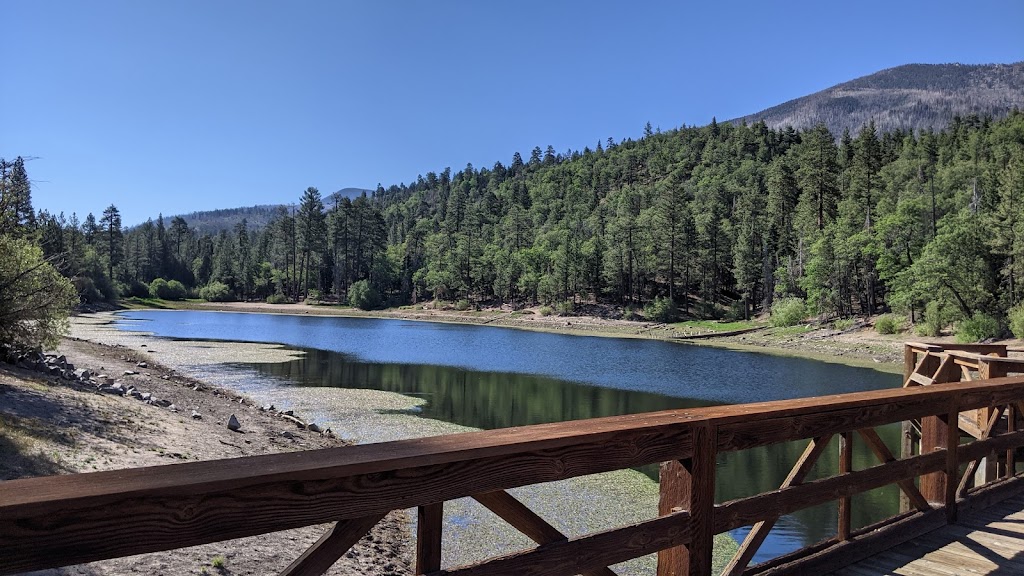 Barton Flats Campground | CA-38, Angelus Oaks, CA 92305, USA | Phone: (877) 444-6777