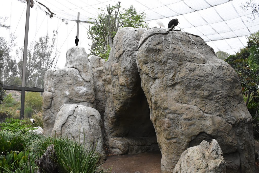 Wings of the World Aviary | Escondido, CA 92027 | Phone: (619) 231-1515