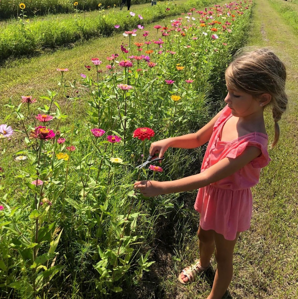 Ever After Farms Fall Festival and U-Pick Peaches & Flowers | 4455 Dixie Way, Mims, FL 32754, USA | Phone: (321) 269-9502