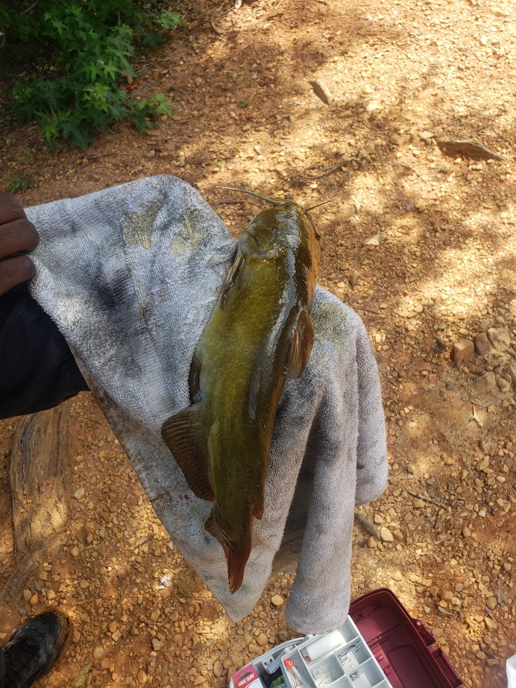 Langdons Fishing | 664 Cornwallis Rd, Garner, NC 27529, USA | Phone: (919) 779-0207