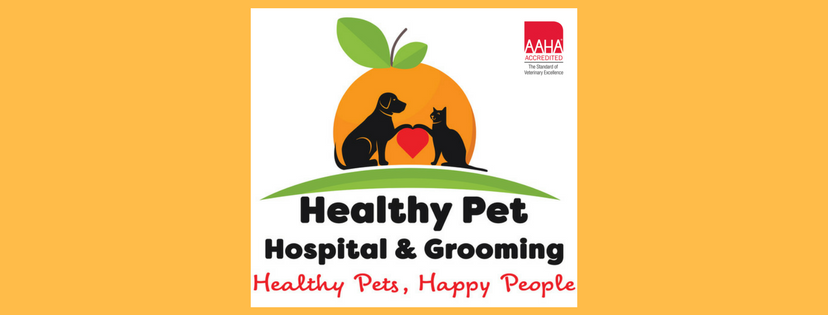Healthy Pet Hospital and Grooming | 3411 E Chapman Ave, Orange, CA 92869, USA | Phone: (714) 771-3261