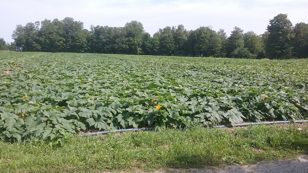 Crowell Home & Auto Supply | 14722 Aldrich Street Extension, Gowanda, NY 14070, USA | Phone: (716) 532-3381