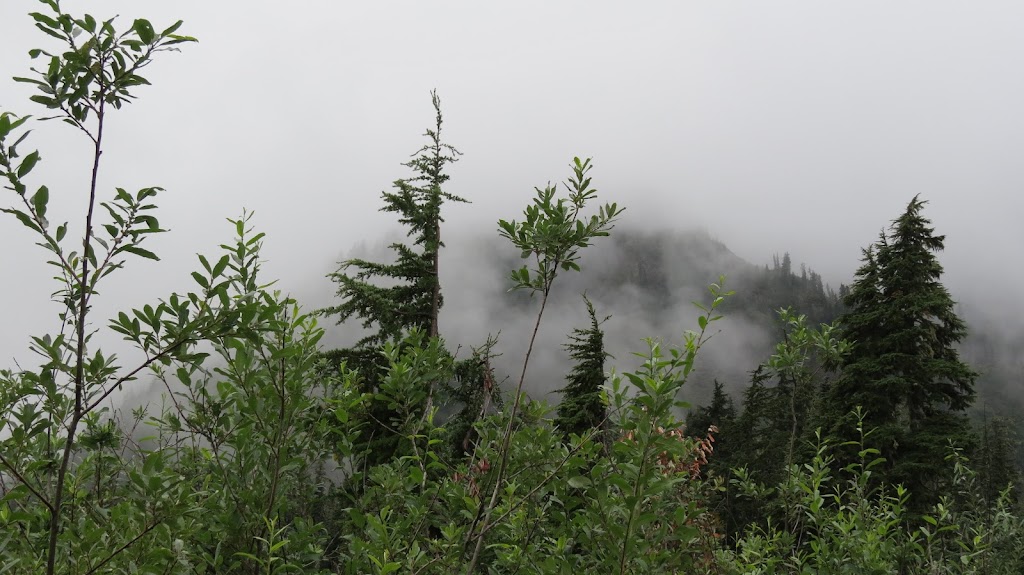 Mt. Baker-Snoqualmie National Forest Ranger Station | 450 Roosevelt Ave, Enumclaw, WA 98022, USA | Phone: (360) 825-6585