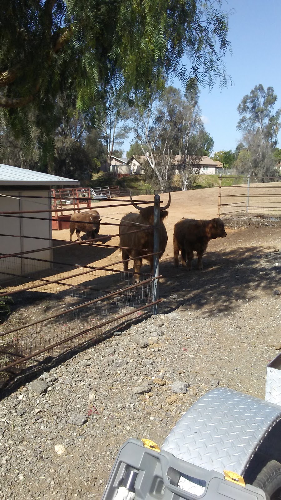 Louis Robidoux Nature Center | 5370 Riverview Dr, Riverside, CA 92509, USA | Phone: (951) 683-4880