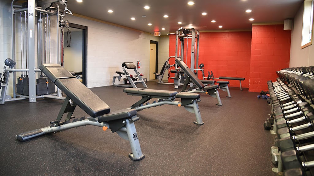 Level Up Fitness | 225 Hoel Ave, Stoughton, WI 53589, USA | Phone: (608) 205-2739