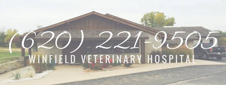 Winfield Veterinary Hospital | 1920 E 9th Ave, Winfield, KS 67156, USA | Phone: (620) 221-9505
