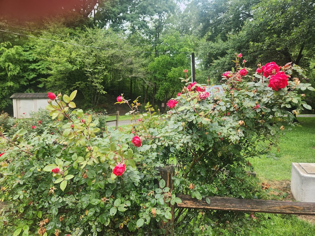 Ararat River Campground | 101 Pioneer Camp Ln, Pinnacle, NC 27043, USA | Phone: (336) 607-4744