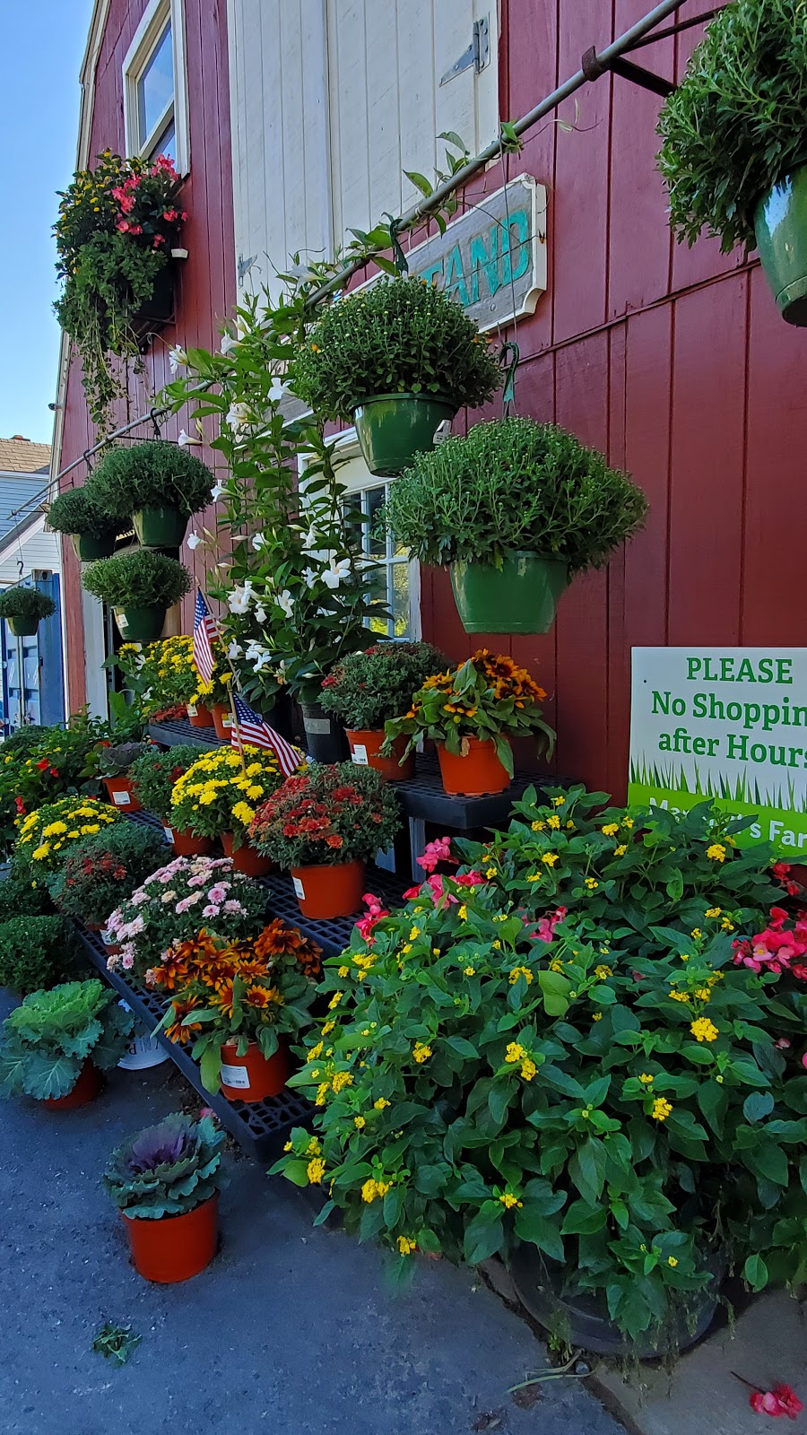 Marshalls Farm Stand | 144 Concord St, Gloucester, MA 01930 | Phone: (978) 283-2168