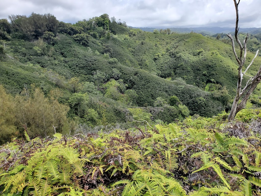 Sunset Ranch Hawaii | 59-777 Pupukea Rd, Haleiwa, HI 96712, USA | Phone: (808) 638-8333