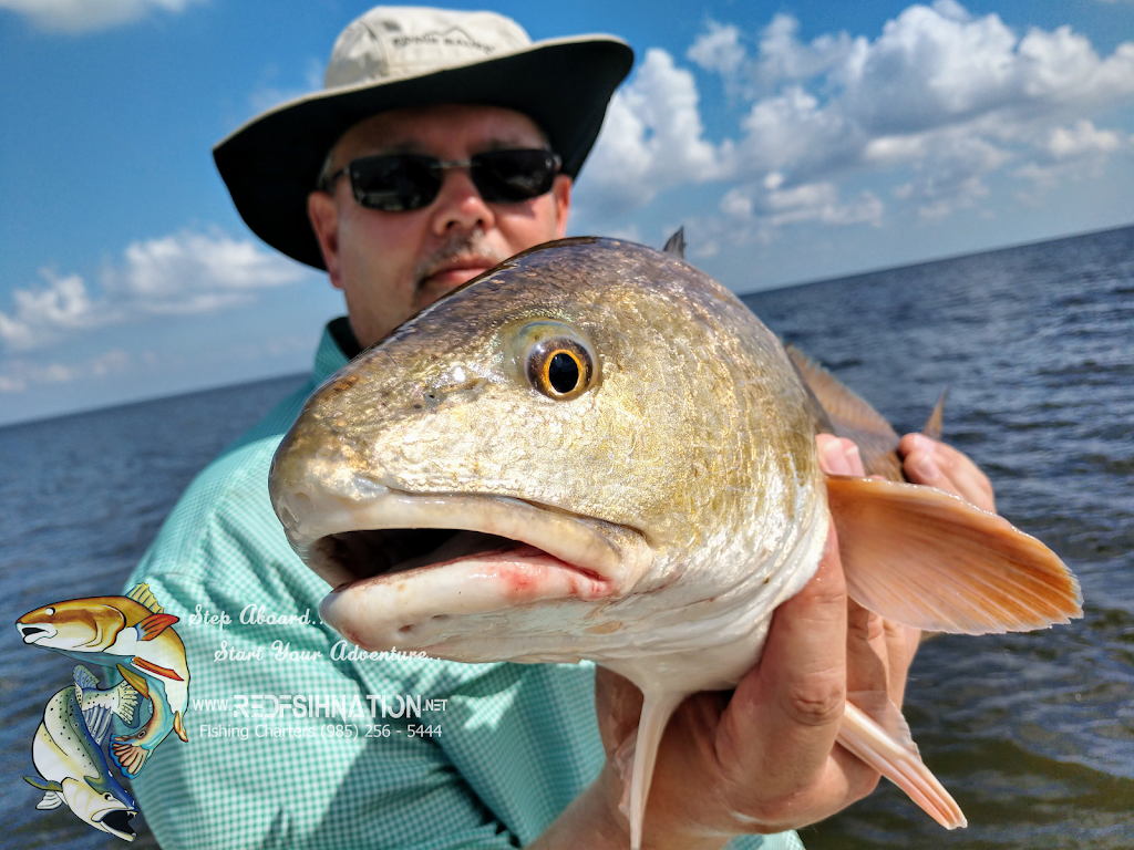 Redfish Nation Fishing Charters | 1301 Yscloskey Hwy, St Bernard, LA 70085, USA | Phone: (504) 222-2860