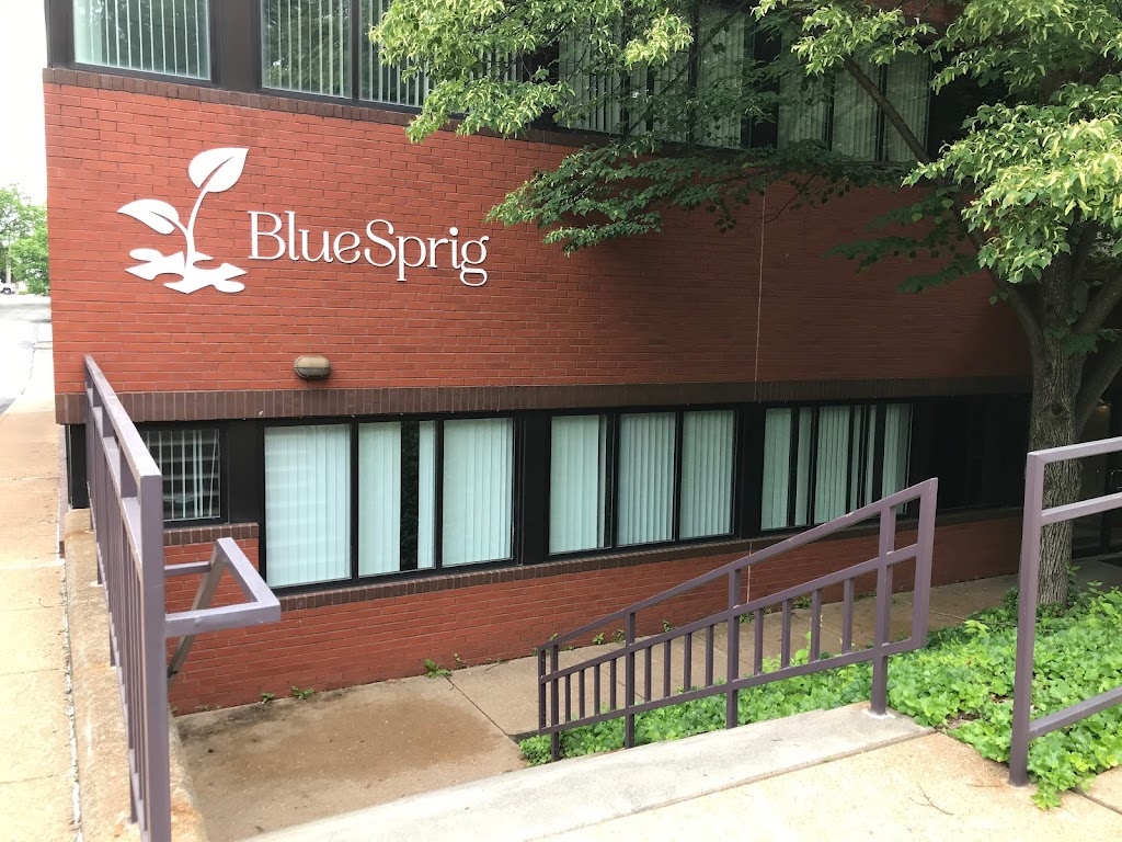 BlueSprig | 9374 Olive Blvd Suite 101, Olivette, MO 63132 | Phone: (314) 932-2402