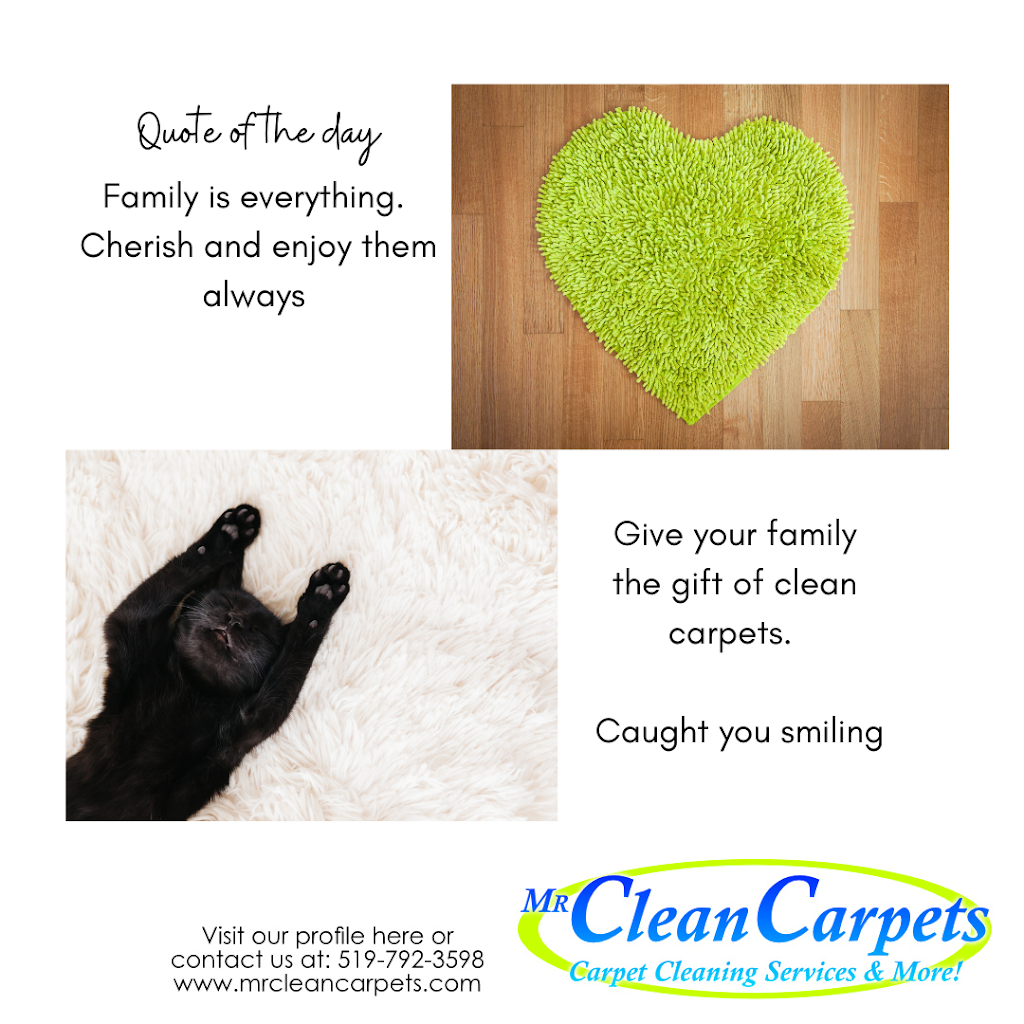 Mr CleanCarpets | 370 Fryer St, Amherstburg, ON N9V 2L9, Canada | Phone: (519) 792-3598